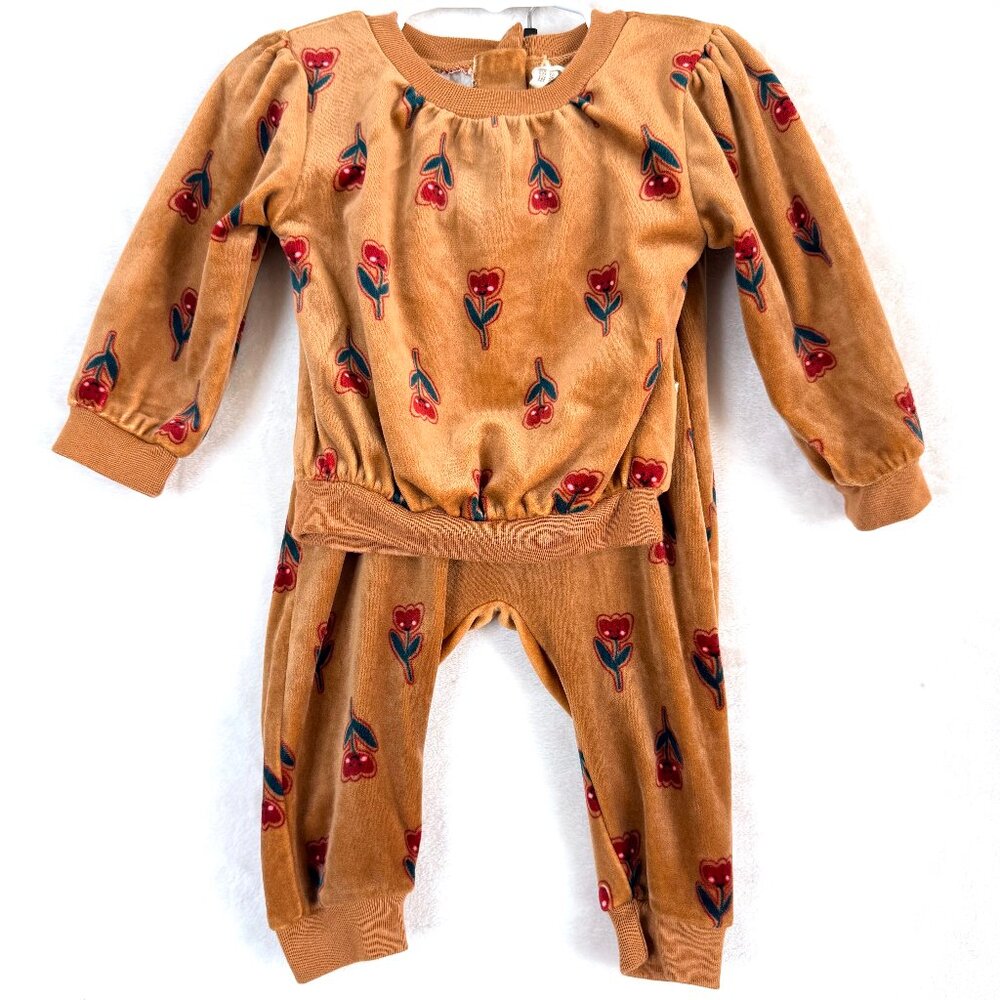 SNUG Velour Floral Long Sleeve Lounge Sweats 2 PC Set Girls Baby 12 Months Brown